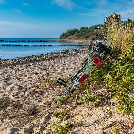 Schatzkaestchen 德兰斯克